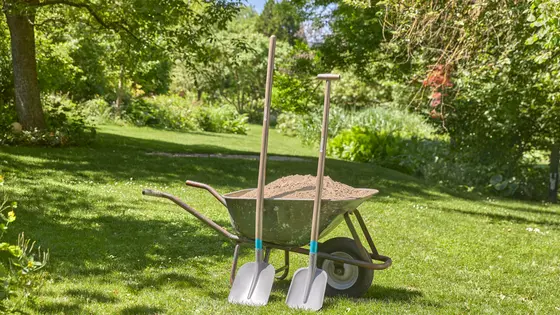 sanding your lawn for better growth