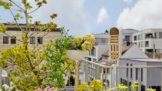 balcony